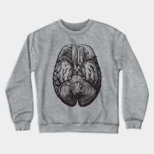 Brain anatomy 2 Crewneck Sweatshirt